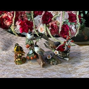 Birds and chickadee birds collection.